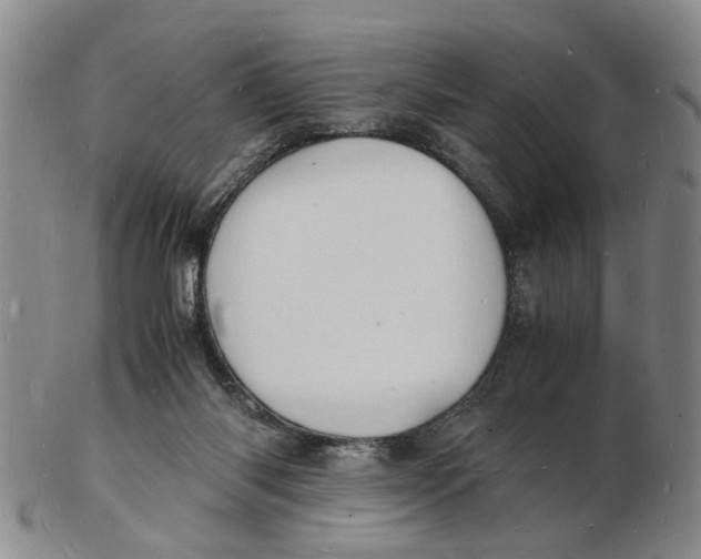 X0000102780118200809081036