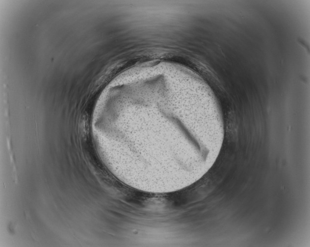 X0000102780119200809081036