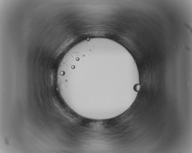 X0000102780120200809081036