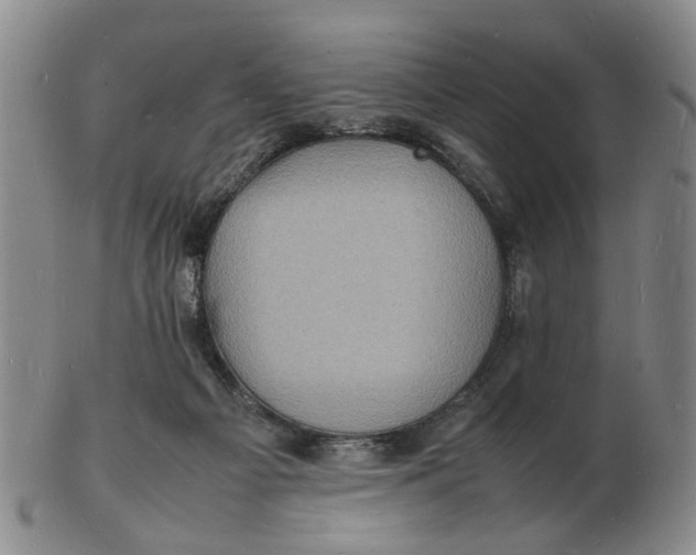 X0000102780121200809081036