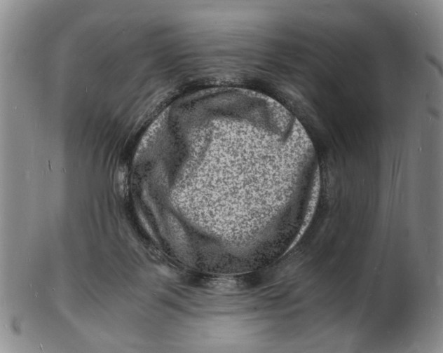 X0000102780123200809081036