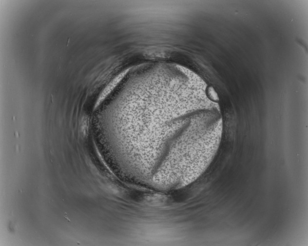 X0000102780125200809081036