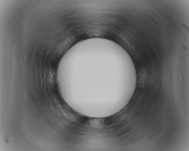 X0000102780126200809081036