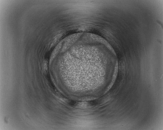 X0000102780127200809081036