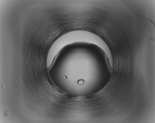 X0000102780128200809081036