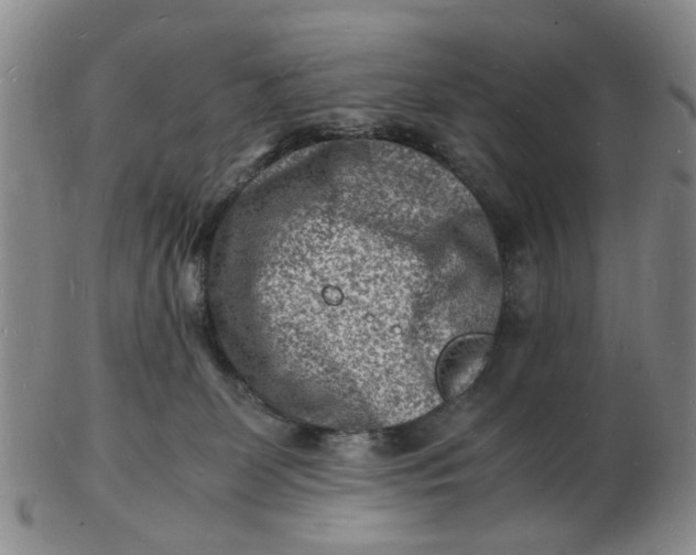 X0000102780131200809081036