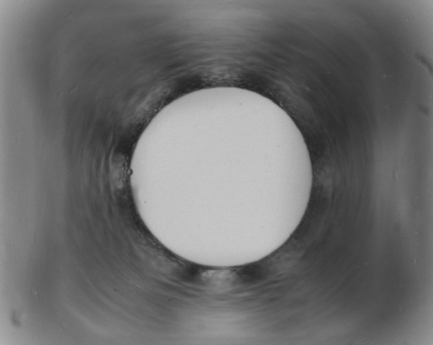 X0000102780133200809081036