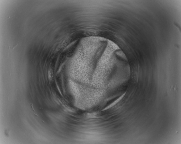 X0000102780134200809081036