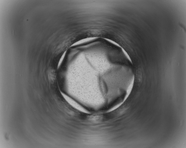 X0000102780135200809081036