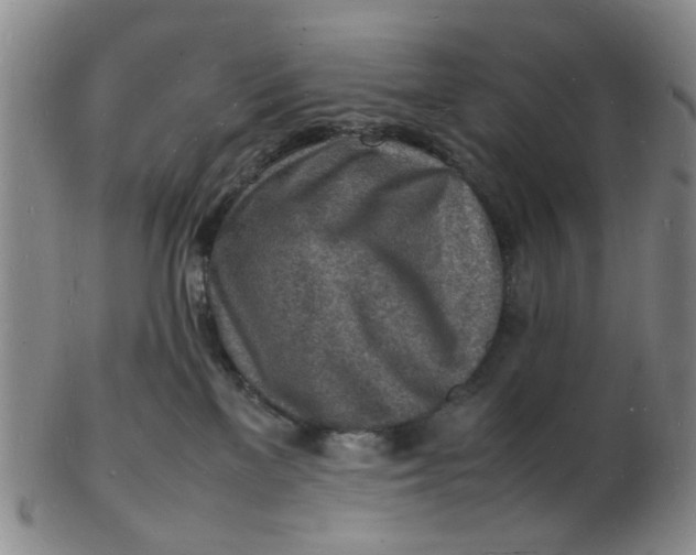 X0000102780137200809081036