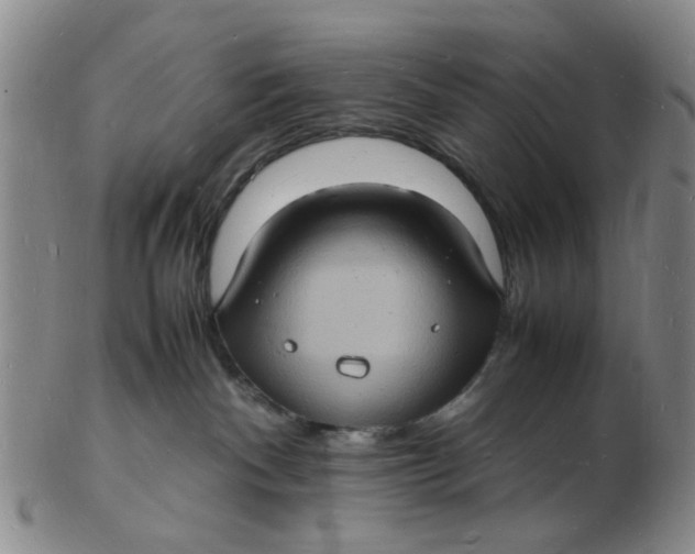 X0000102780140200809081036