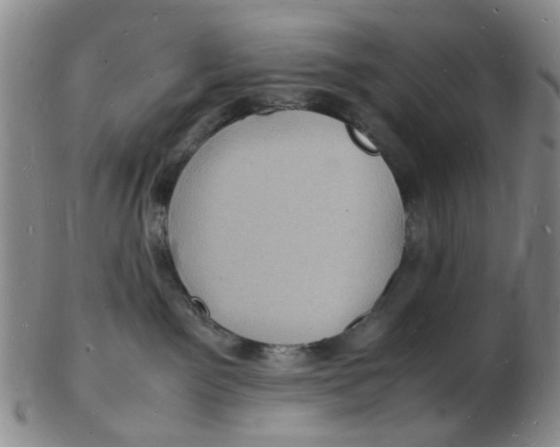 X0000102780141200809081036