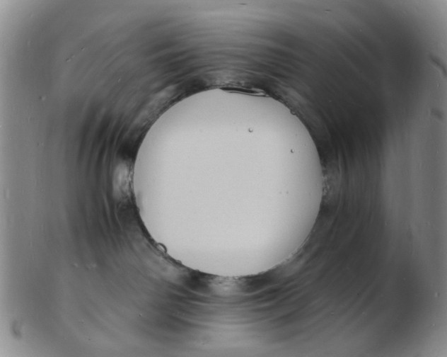 X0000102780142200809081036