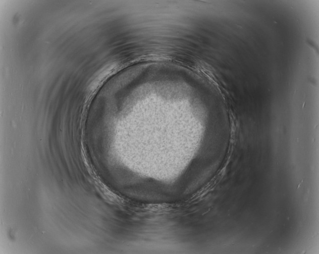 X0000102780145200809081035