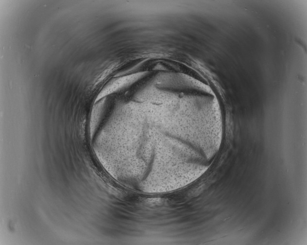 X0000102780153200809081035