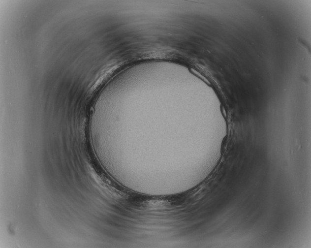 X0000102780154200809081035