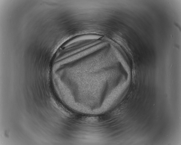 X0000102780156200809081035