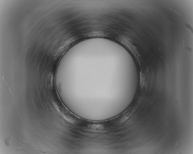 X0000102780157200809081035