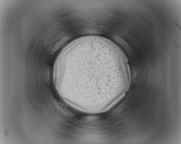 X0000102780158200809081035