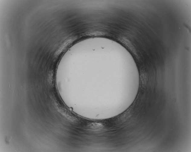 X0000102780159200809081035