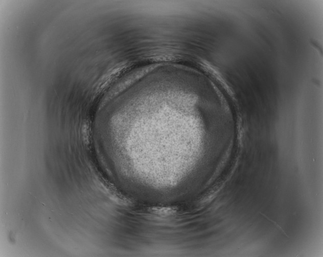 X0000102780161200809081035