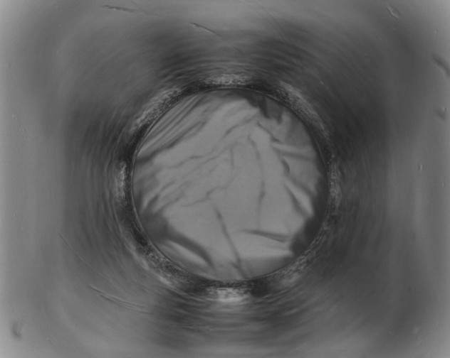 X0000102780163200809081035