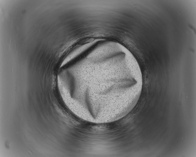 X0000102780164200809081035