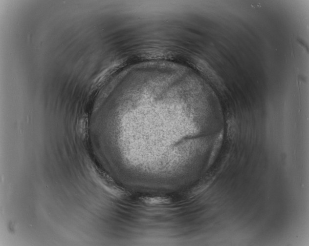 X0000102780165200809081035