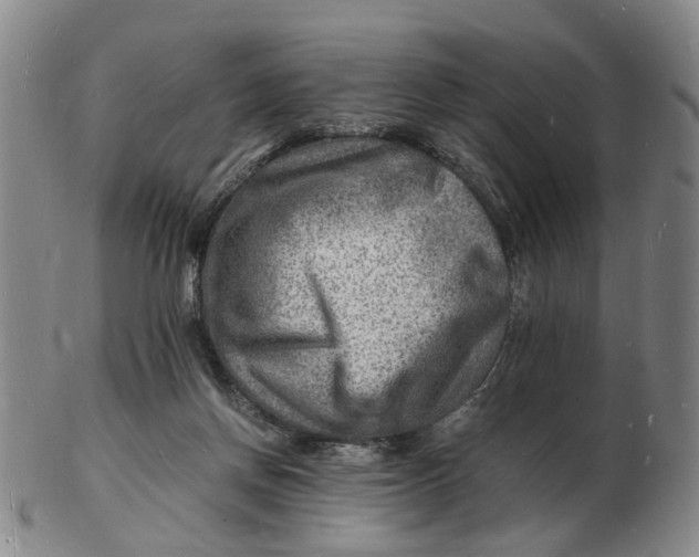 X0000102780166200809081035