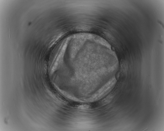 X0000102780168200809081035