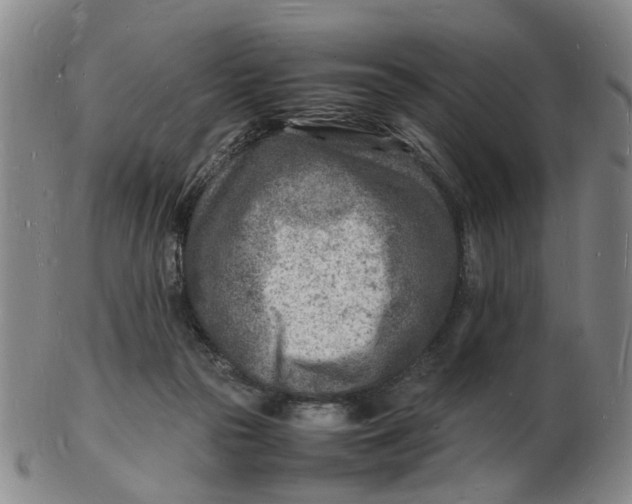 X0000102780169200809081035