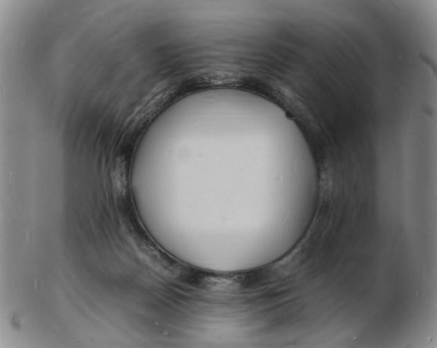 X0000102780170200809081035