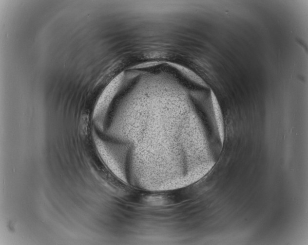 X0000102780171200809081035