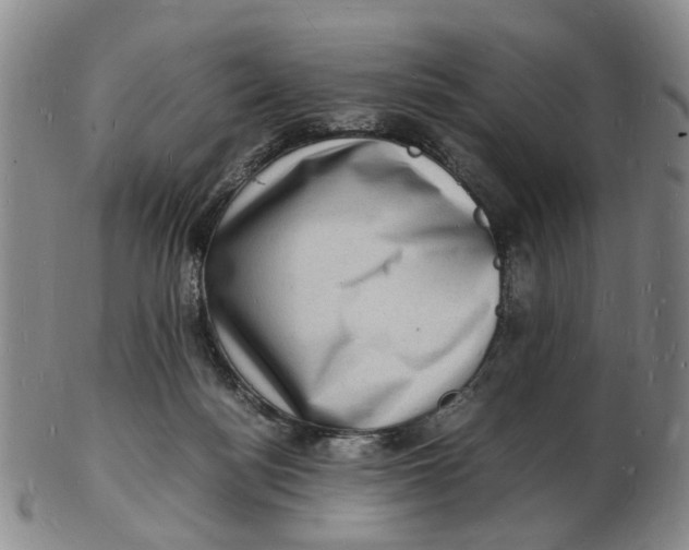 X0000102780172200809081035