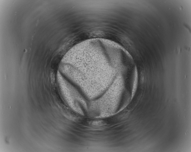 X0000102780173200809081035