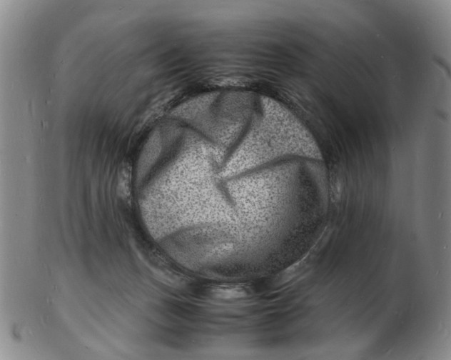 X0000102780175200809081035