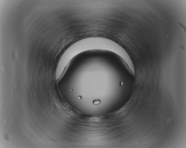 X0000102780176200809081035