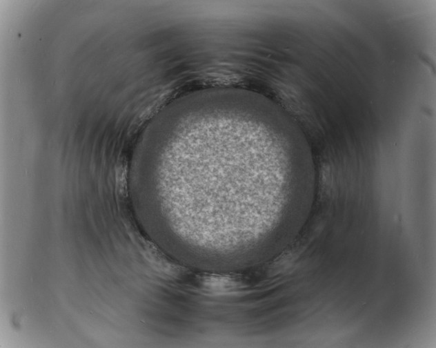 X0000102780177200809081035