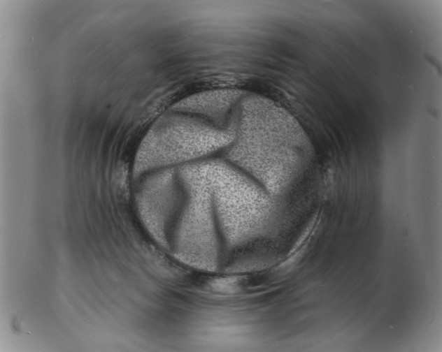 X0000102780178200809081035