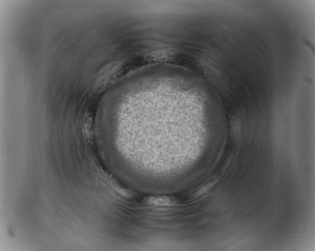 X0000102780181200809081035