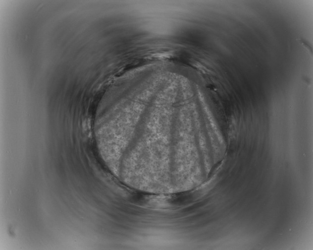 X0000102780182200809081035