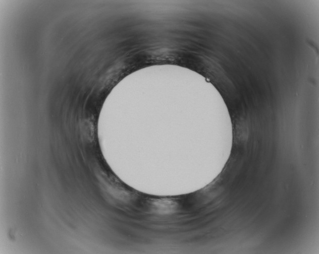 X0000102780183200809081035