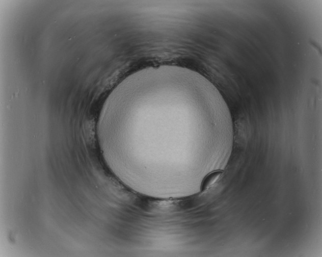 X0000102780184200809081035