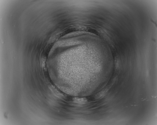 X0000102780185200809081035