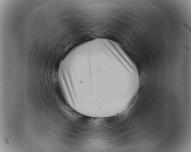 X0000102780186200809081035