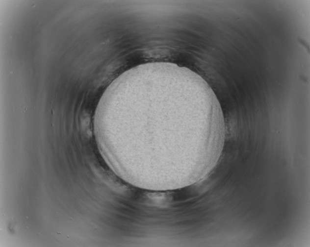 X0000102780187200809081035