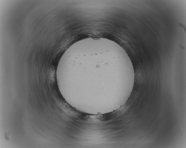 X0000102780188200809081035