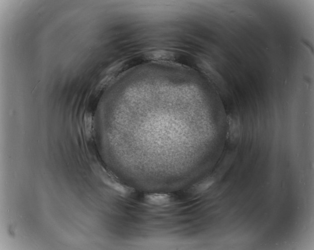 X0000102780189200809081035