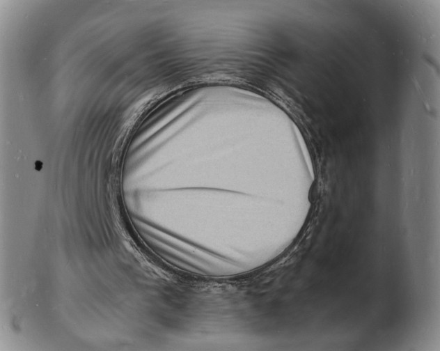 X0000102780193200809081035