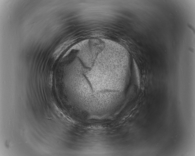 X0000102780194200809081035